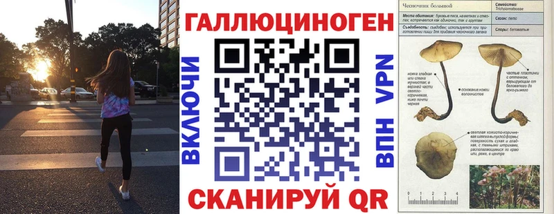 Псилоцибиновые грибы мухоморы цена omg как войти Кунгур